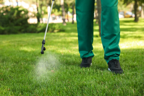 Best Commercial Pest Control Services  in Corydon, IA