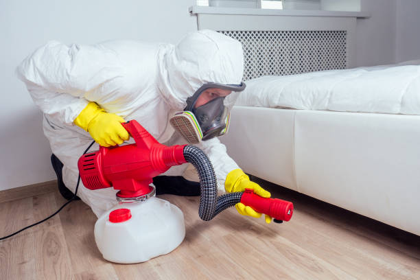 Best Termite Control Services  in Corydon, IA