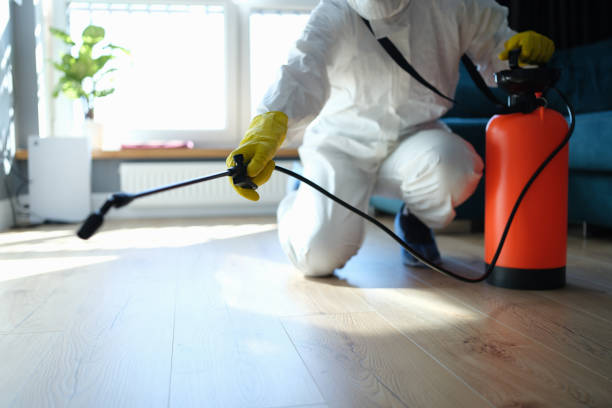 Best Pest Prevention Services  in Corydon, IA