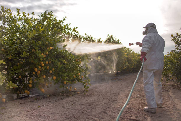 Trusted Corydon, IA Pest Control Experts