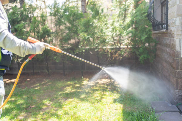 Best Affordable Pest Control Services  in Corydon, IA