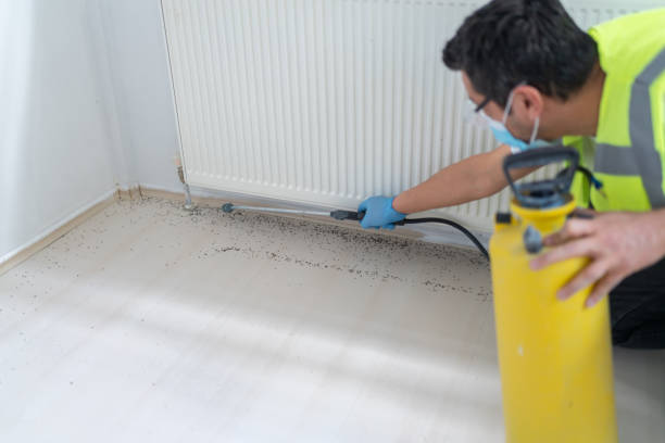 Best Exterminator Services  in Corydon, IA
