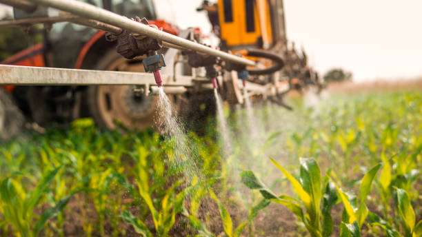 Best Pest Removal Services  in Corydon, IA