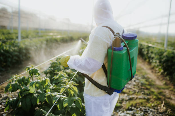 Best Residential Pest Control  in Corydon, IA